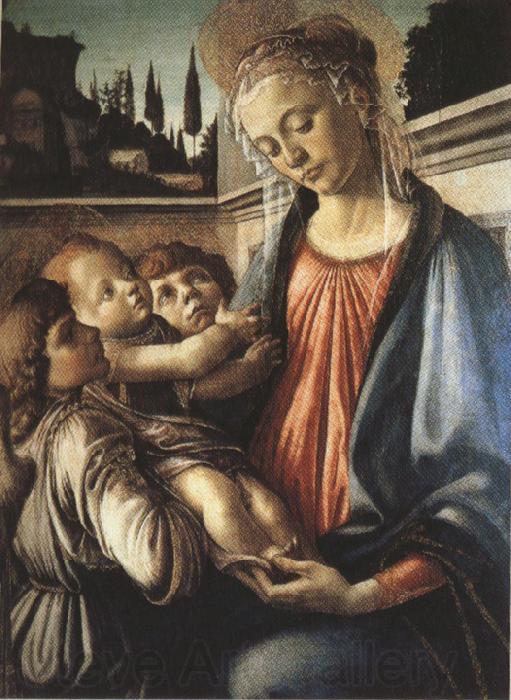 Sandro Botticelli Madonna and Child with two Angels (mk36) Spain oil painting art